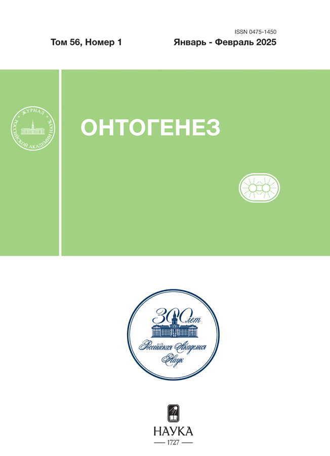 Page Header Logo